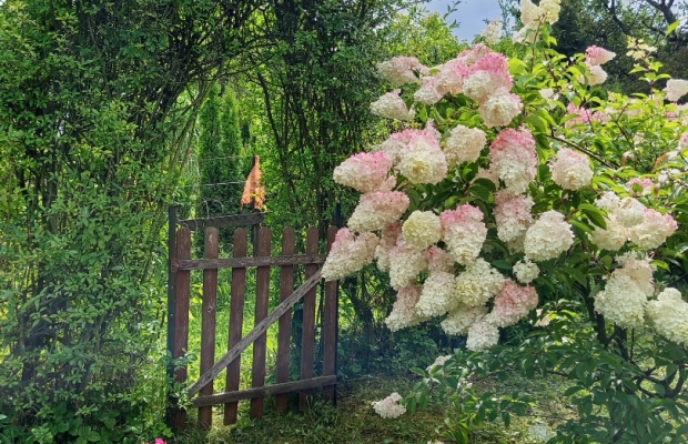 Działka ROD Bielsko -B.Lipnik 3.71 ar - Zdjęcie 2