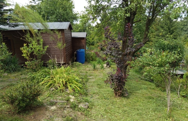 Działka ROD Bielsko -B.Lipnik 3.71 ar - Zdjęcie 5