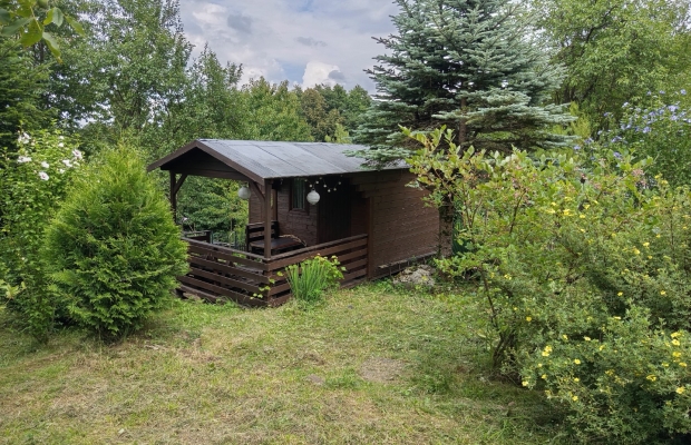 Działka ROD Bielsko -B.Lipnik 3.71 ar - Zdjęcie 4