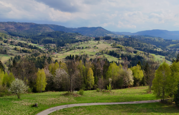 Widokowa działka rolna – Glinka - Zdjęcie 4