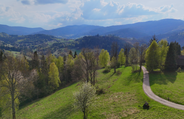 Widokowa działka rolna – Glinka - Zdjęcie 5
