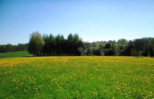 DOBRA LOKATA KAPITAŁU! Ostatnie Działki w tej cenie! Prywatnie - Zdjęcie 6