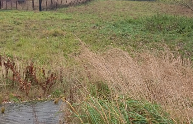 Działka budowlana w Łękawicy - Zdjęcie 3