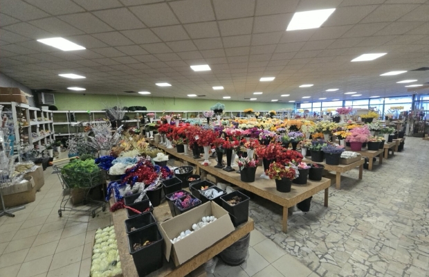 Wyprzedaż likwidacja sklepu kwiaty, biurka, antyki - Zdjęcie 2