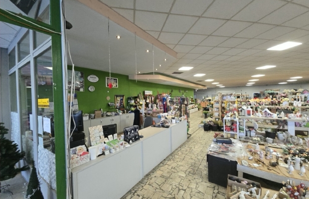 Wyprzedaż likwidacja sklepu kwiaty, biurka, antyki - Zdjęcie 3