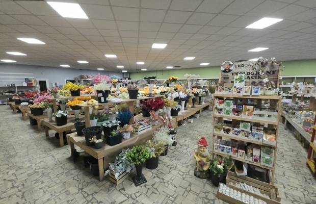 Wyprzedaż likwidacja sklepu kwiaty, biurka, antyki - Zdjęcie 6