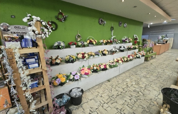 Wyprzedaż likwidacja sklepu kwiaty, biurka, antyki - Zdjęcie 5