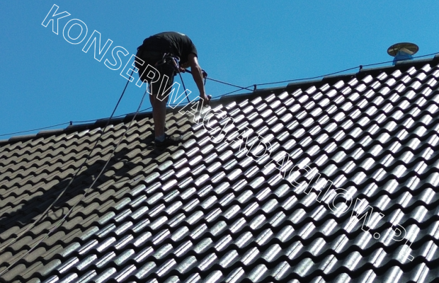 Malowanie Dachów, Mycie i Czyszczenie Bielsko-Biała – Alpin Szostek - Zdjęcie 2