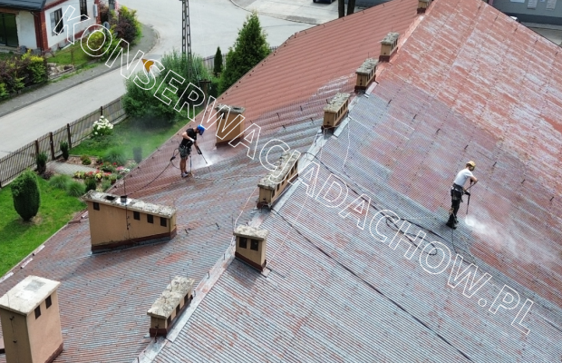 Malowanie Dachów, Mycie i Czyszczenie Bielsko-Biała – Alpin Szostek - Zdjęcie 7