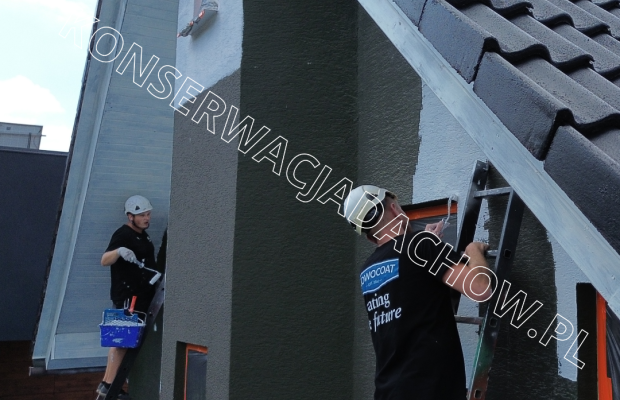 Malowanie Dachów, Mycie i Czyszczenie Bielsko-Biała – Alpin Szostek - Zdjęcie 10