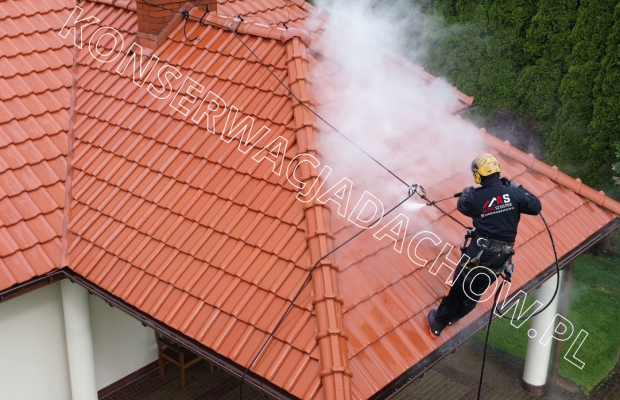 Malowanie Dachów, Mycie i Czyszczenie Bielsko-Biała – Alpin Szostek - Zdjęcie 3