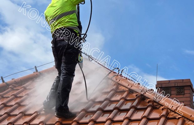 Malowanie Dachów, Mycie i Czyszczenie Bielsko-Biała – Alpin Szostek