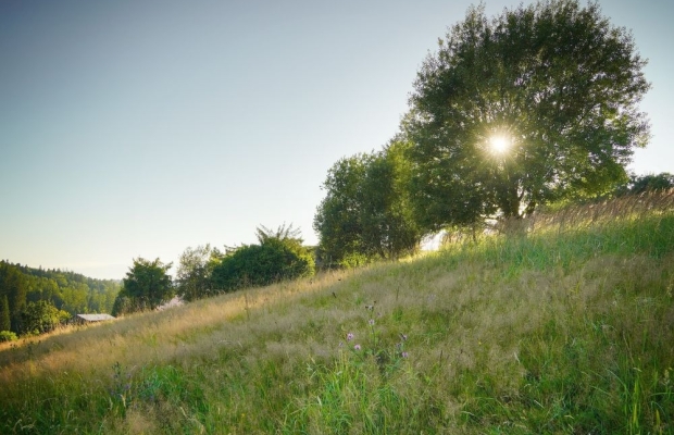 Jaworzynka Małysze - wyjatkowa działka 1,3 ha z widokiem na góry - Zdjęcie 3