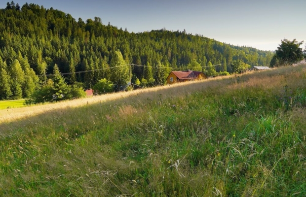 Jaworzynka Małysze - wyjatkowa działka 1,3 ha z widokiem na góry - Zdjęcie 6