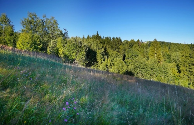 Jaworzynka Małysze - wyjatkowa działka 1,3 ha z widokiem na góry - Zdjęcie 5