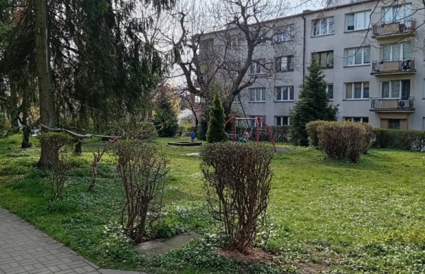 Mieszkanie do wynajęcia - Zdjęcie 7
