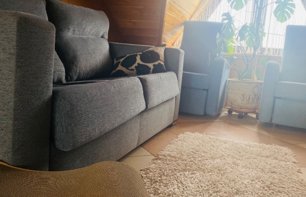 Hotel dla kotów Kocimiętka - Zdjęcie 8