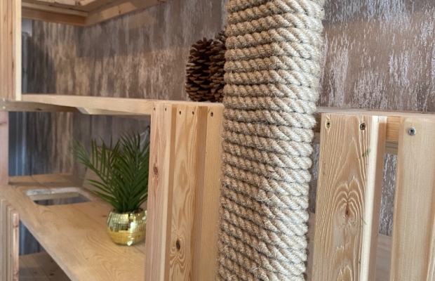 Hotel dla kotów Kocimiętka - Zdjęcie 6