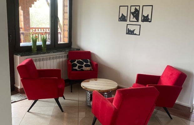 Hotel dla kotów Kocimiętka - Zdjęcie 2