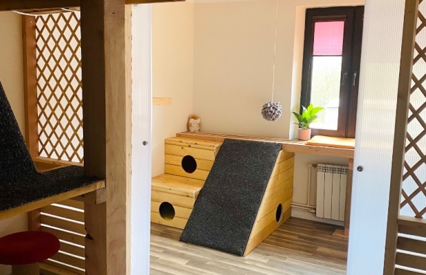 Hotel dla kotów Kocimiętka - Zdjęcie 7