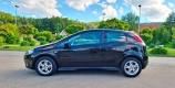Fiat Grande Punto Benzyna 1.4 ENERGY DYNAMIC Kupiony w Polskim Salonie Serwisowany - Zdjęcie 10
