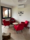 Hotel dla kotów Kocimiętka - Zdjęcie 2