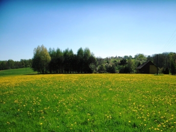 Zdjęcie: DOBRA LOKATA KAPITAŁU! Ostatnie Działki w tej cenie! Prywatnie