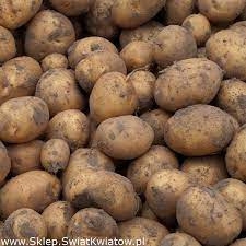 Zdjęcie: Gospodarstwo rolne Rozner Marian i Małgorzata oferuje warzywa, kiszonki, zboża z własnego gospodarstwa.