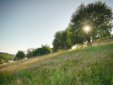 Zdjęcie: Jaworzynka Małysze - wyjatkowa działka 1,3 ha z widokiem na góry