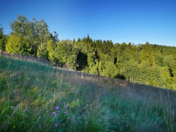 Zdjęcie: Jaworzynka Małysze - wyjatkowa działka 1,3 ha z widokiem na góry