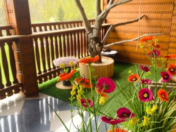 Zdjęcie: Hotel dla kotów Kocimiętka