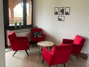 Zdjęcie: Hotel dla kotów Kocimiętka