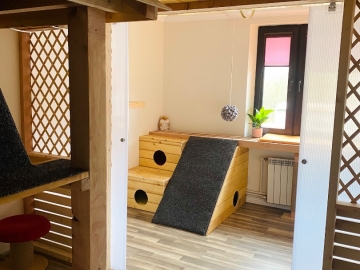 Zdjęcie: Hotel dla kotów Kocimiętka
